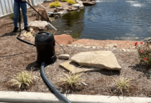 Natural Pond