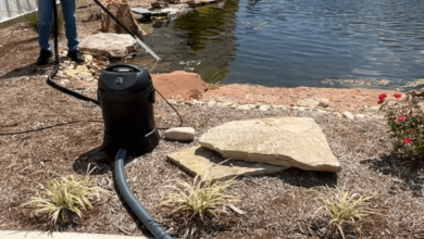 Natural Pond