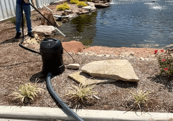 Natural Pond
